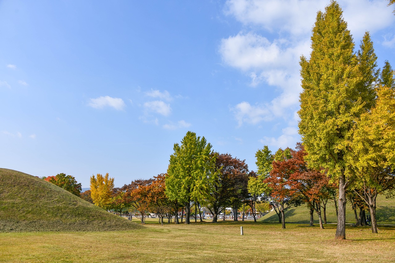 경주 겨울여행