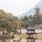 한국에서 난민 신청하는 방법 알아보자