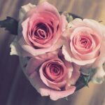 임신중기 선물 추천 목록 살펴보기